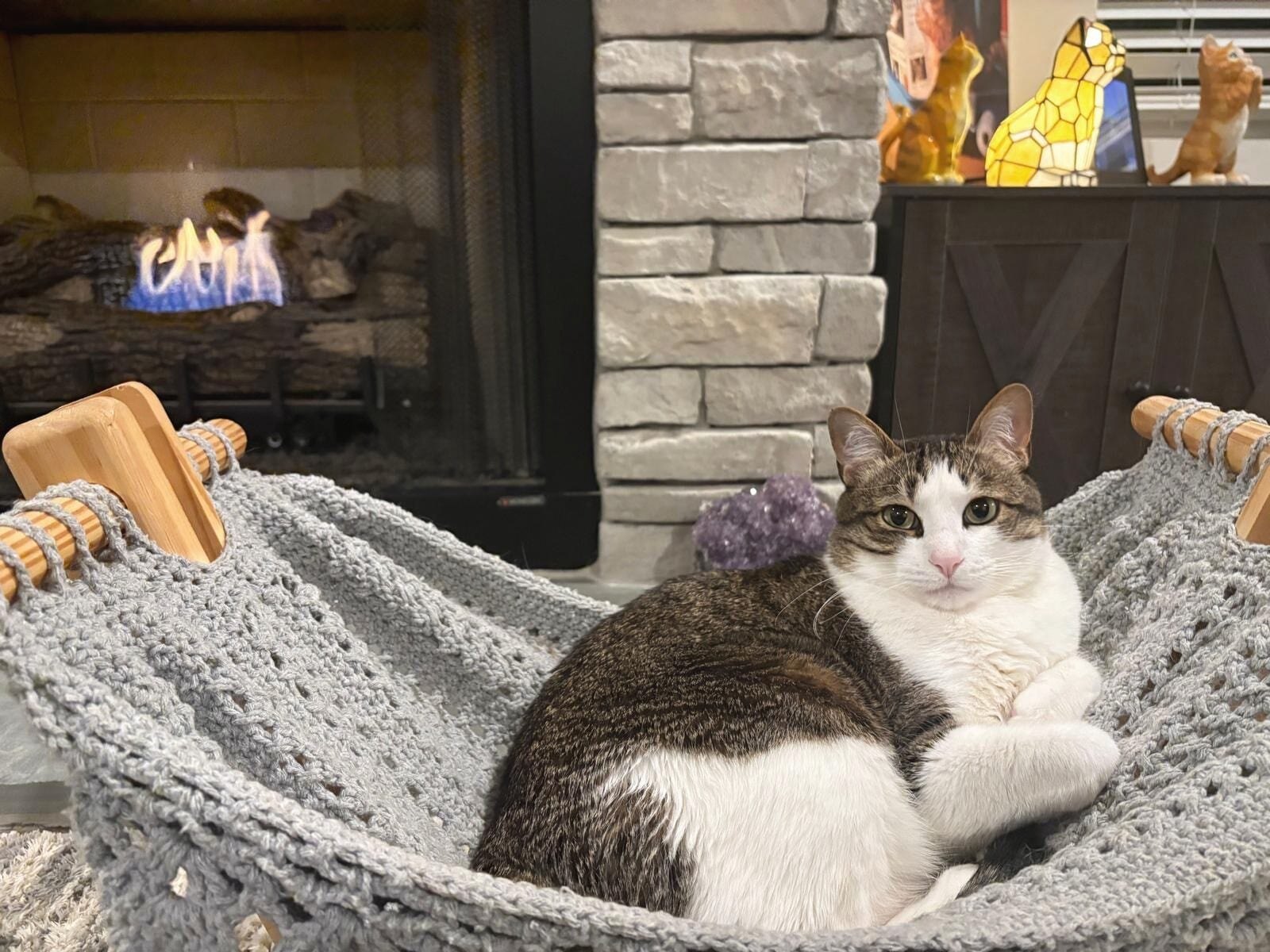 A cat settled in a hammock chair beside a fireplace